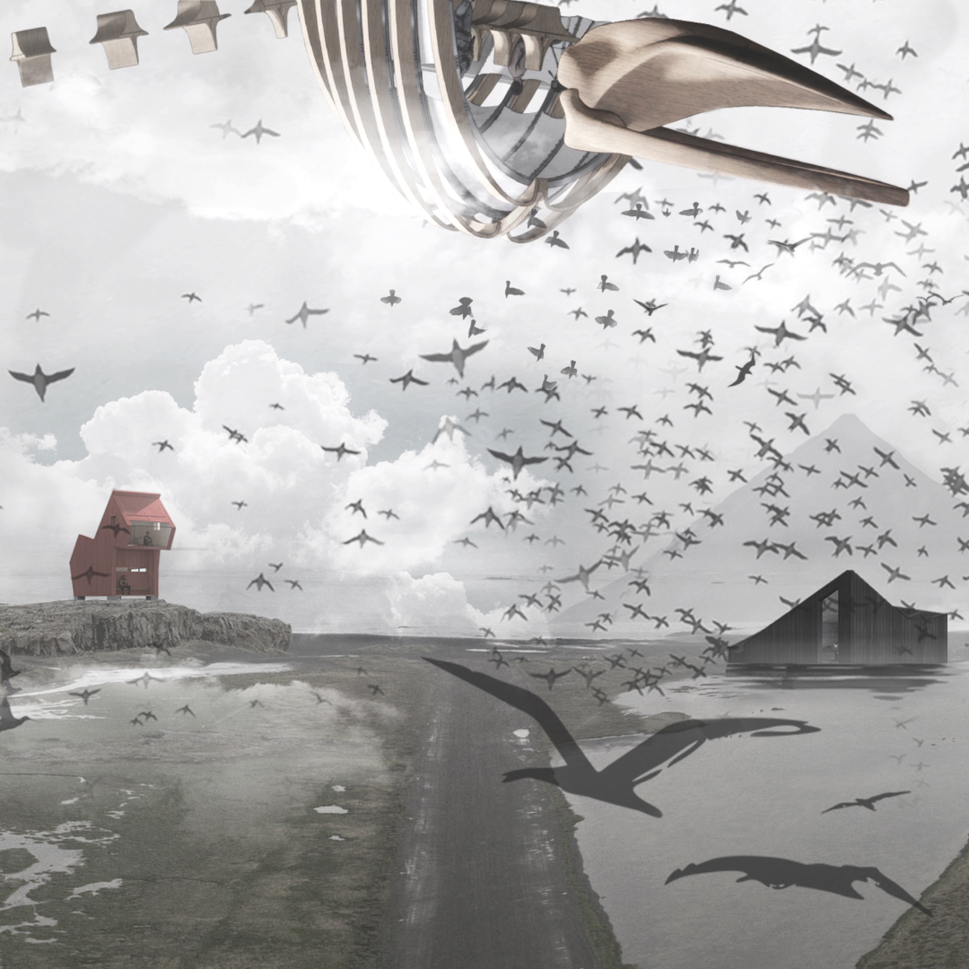 A Bold Daydream of Djupivogur